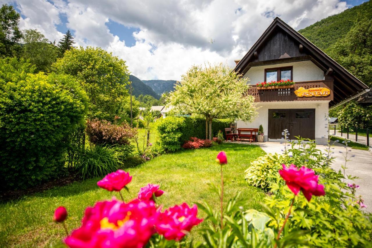 Apartma Boltar Bohinj Dış mekan fotoğraf